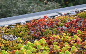the cost of Ryhope green roof installation