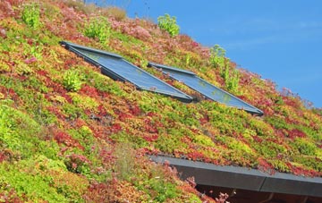 Ryhope living roof systems